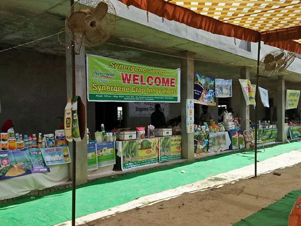 kissan mela village nalina district fatehgarh sahib,punjab